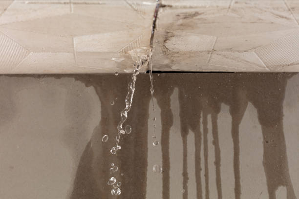 Professional Burst Pipe Cleanup technician working in Northfield, MA